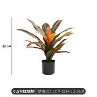 Пищевая добавка с железом, 50см