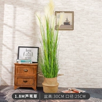 1,8 млн. Грусная трава+первичная ткацкая корзина