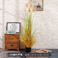 1,5 млн. Чистые листовые тростники