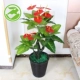 Cây giả hoa anthurium hoa giả chậu hoa trồng sàn lớn cây xanh giả trang trí phòng khách trang trí nội thất nhà máy mô phỏng - Hoa nhân tạo / Cây / Trái cây