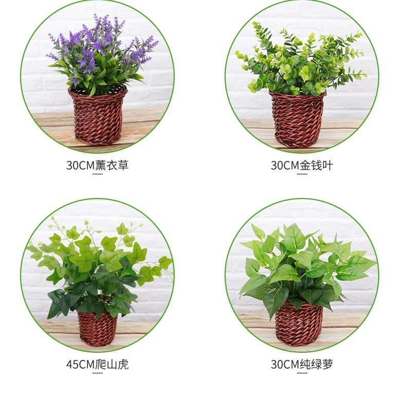Cây giả xanh trồng trong chậu trang trí mô phỏng củ cải xanh cây cảnh nhỏ nhựa giả hoa trang trí trong nhà mô phỏng hoa và cây - Hoa nhân tạo / Cây / Trái cây cây hoa mai giả