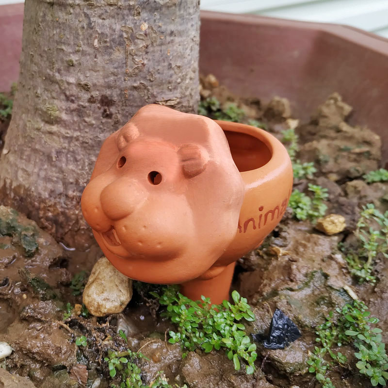 Ceramic animal waterer plant ornaments decorative gardening potted automatic watering device small seepager dripper