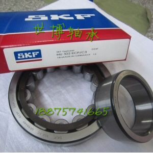 Imported SKF Bearing NU209 NU2209 NU309 NU2309 ECP ECM ECJ C3