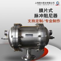 Double diaphragm pulse damper buffer SS304 material RXMZ-S12 2 5 flange connection