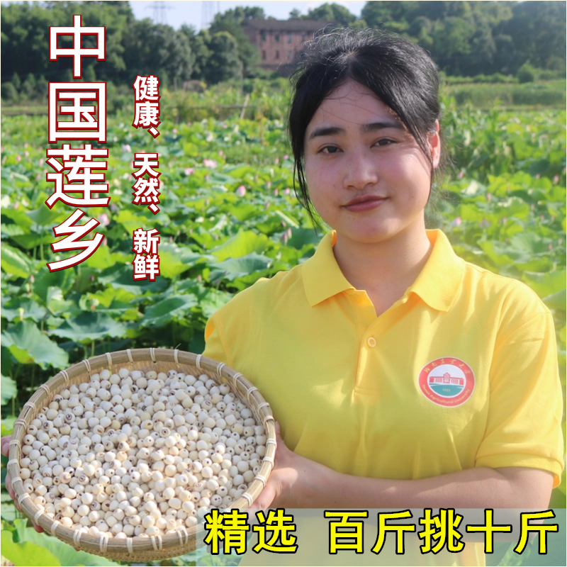 New goods Xiangtan specialty no core white lotus farmer self-produced dry goods to remove the core peeling white lotus seed inch three lotus Xianglian 500g