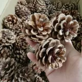 Натуральная песня сосна башня сухой ветви, журналы сухие цветы, стратегия логистики в детских садах для создания храмов