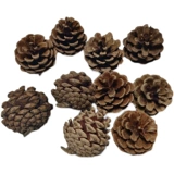 Натуральная песня сосна башня сухой ветви, журналы сухие цветы, стратегия логистики в детских садах для создания храмов