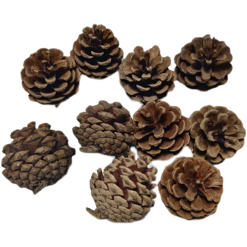 Натуральная песня сосна башня сухой ветви, журналы сухие цветы, стратегия логистики в детских садах для создания храмов