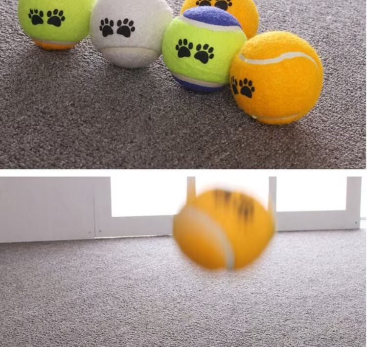 Chó đồ chơi bóng cắn tóc vàng Teddy Samoyed mol răng mèo đồ chơi con chó con da lộn bóng đồ chơi mol mặt cười mua do choi cho cho