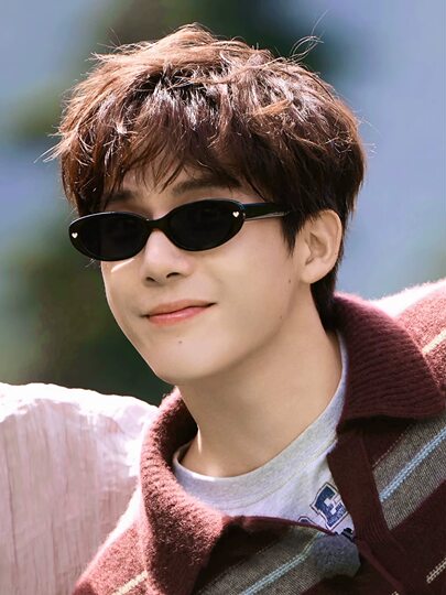 Wang Anyu's Same Style Sunglasses 2026 New Retro Oval Small Frame Stylish Sunglasses for Driving with Uv Protection