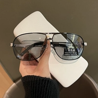 Черная рама серебро [Поляризатор с чувствительным изменением цвета света]