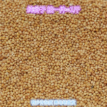 Millet 500 grams of yellow millet with Shell millet Millet Bird food shoot five pieces