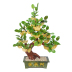 Ngọc chậu trong chậu cây bò trang trí cây phong phú may mắn tủ rượu trang trí đồ trang trí phòng khách đồ đạc trong nhà quà tặng tủ trang trí phòng khách Trang trí nội thất