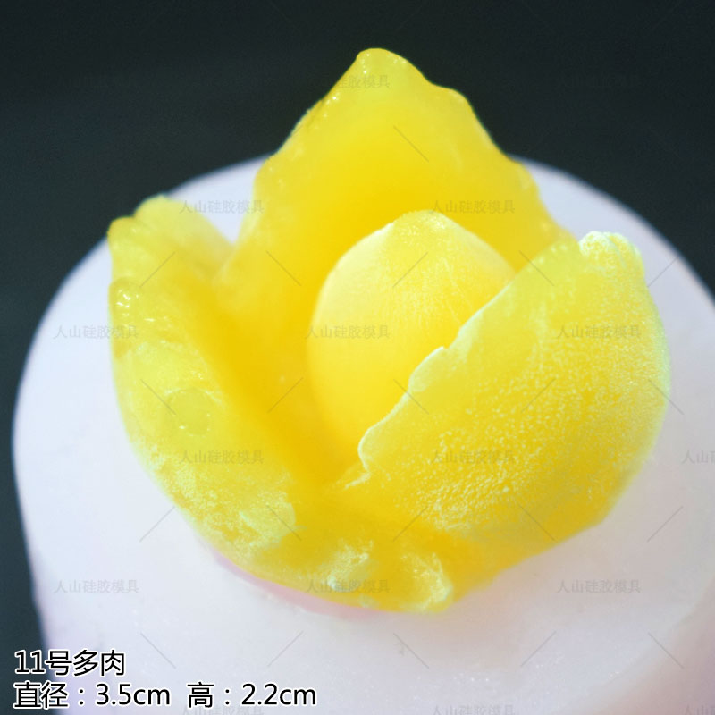 Khuôn silicon mọng nước 3D Mousse Bánh Khuôn tráng miệng Jelly Fondant Sôcôla Mọng nước - Tự làm khuôn nướng khay làm bánh