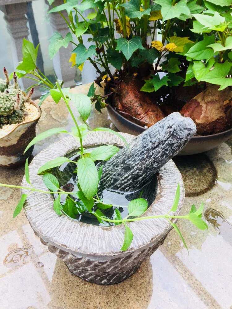 Hand-old craftsmanship Aoki multi-meat flowerpots stone basin water peels pelvis stone pelvis stone pelvis small stone trough green stone pelvis