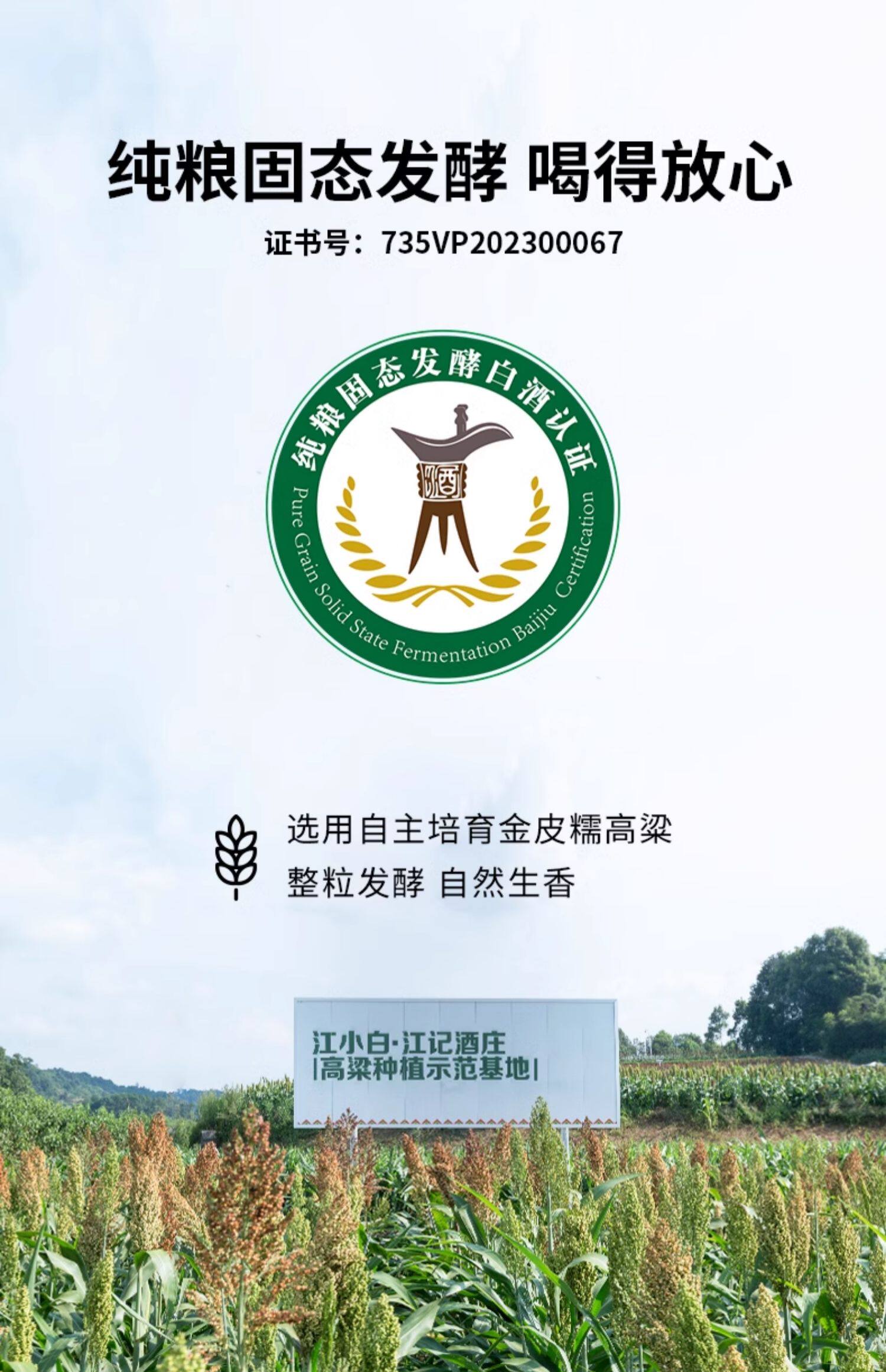 安享好物 安享A级白酒-江小白52度 纯粮白酒 国标 