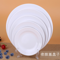 Melamine Plate Food food Fruit Vegetable Meat Seafood Swing Trays Display Props Plastic Cutlery Western Dining Disc