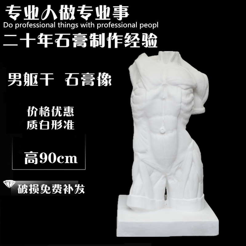 Muscular anatomical male torso plaster like a fine art sketching model statue sculpture plaster like a fine art teaching aid