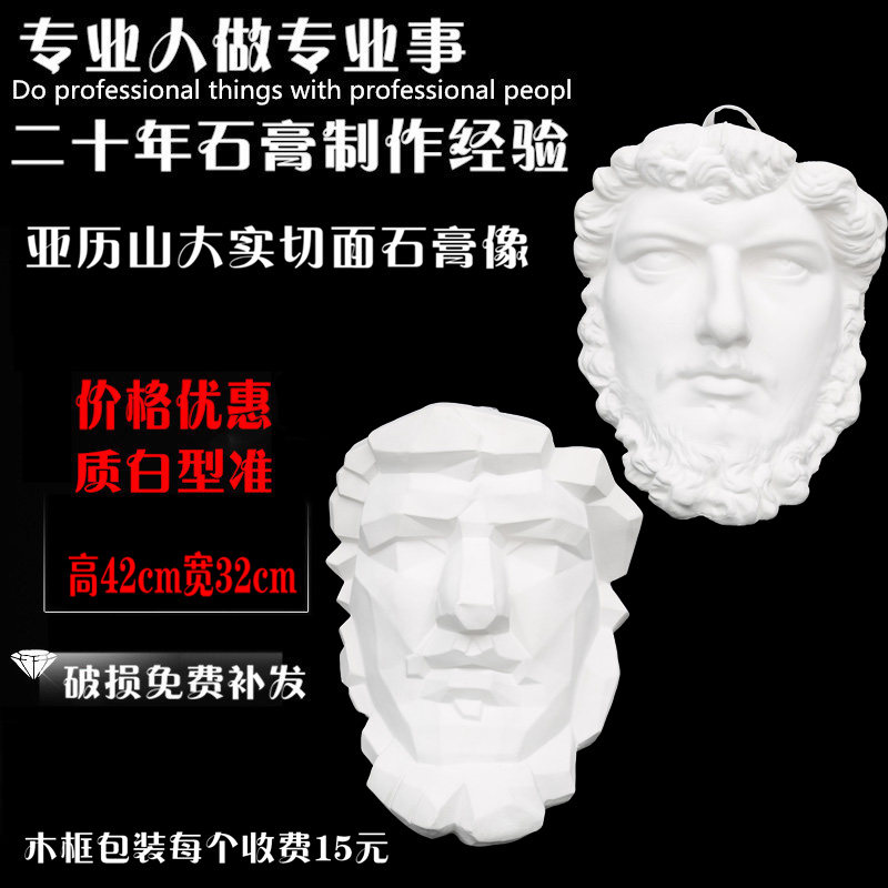 Alexander Round Plaster Character Half-surface Half-facing Description Fine Art Textbook