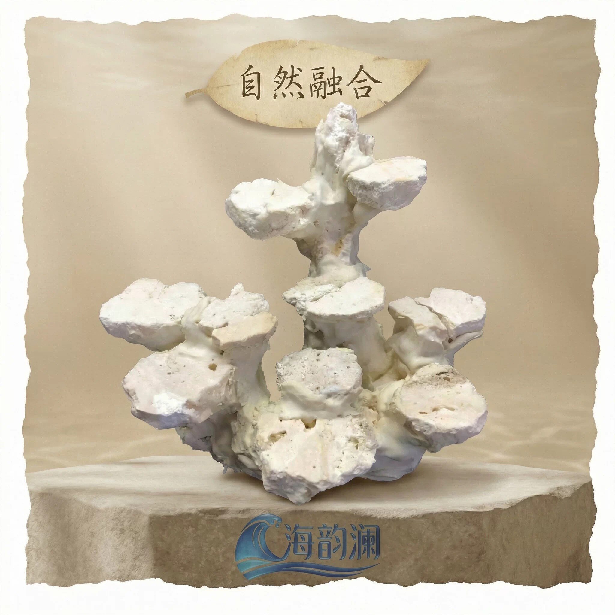 海缸造景大揭秘！活石、死石、珊瑚石搭配神器，造景胶水一键搞定！-造景-淘宝好物网