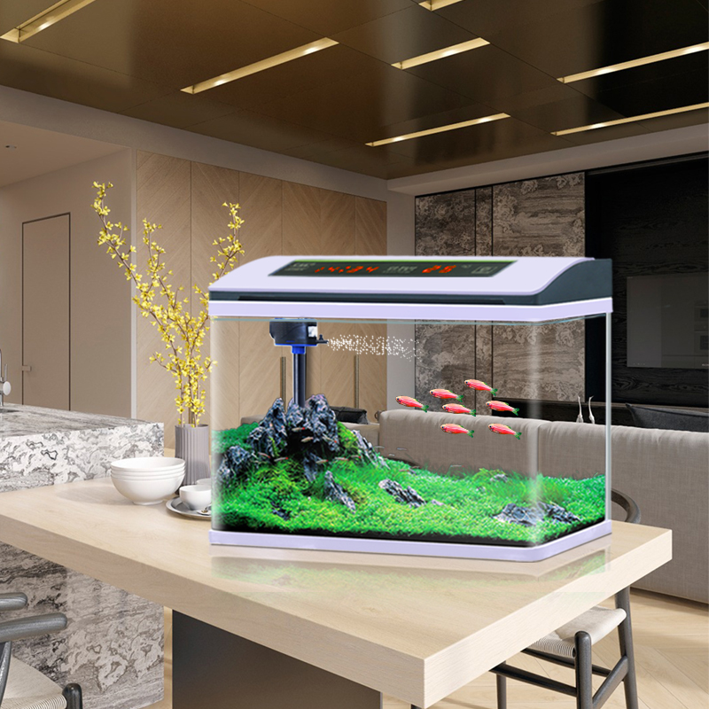 Ecological Small Glass Living Room Landscaping Lazy Aquarium