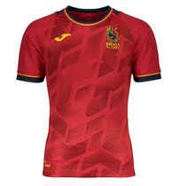 2021 Spanish Home and Away Olive Shirt Short Sleeve Mens Top Spanish Rugby Jersey