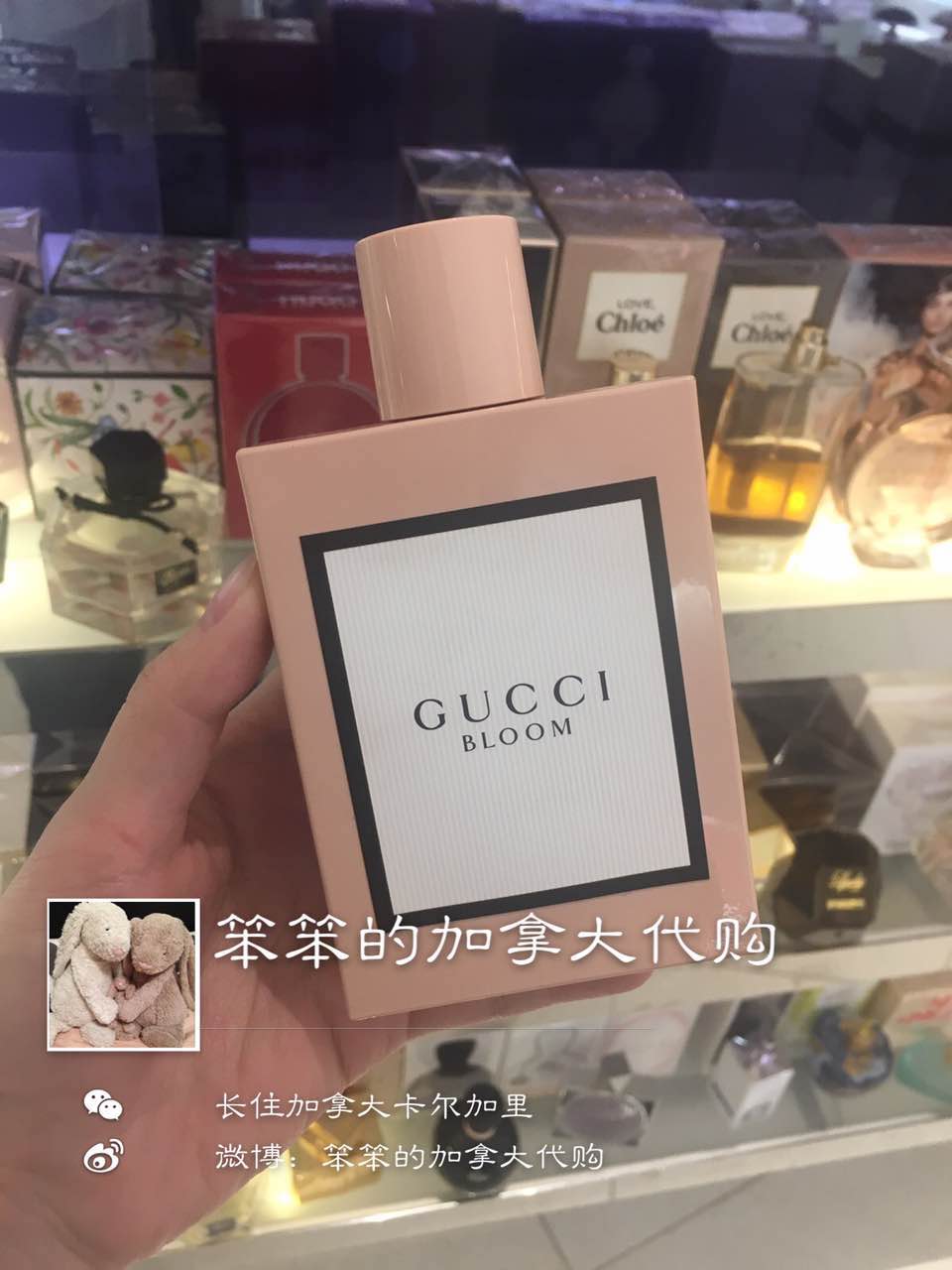 Gucci Bloom古驰新品女士香水花木混合 edp 50ml 加拿大代购