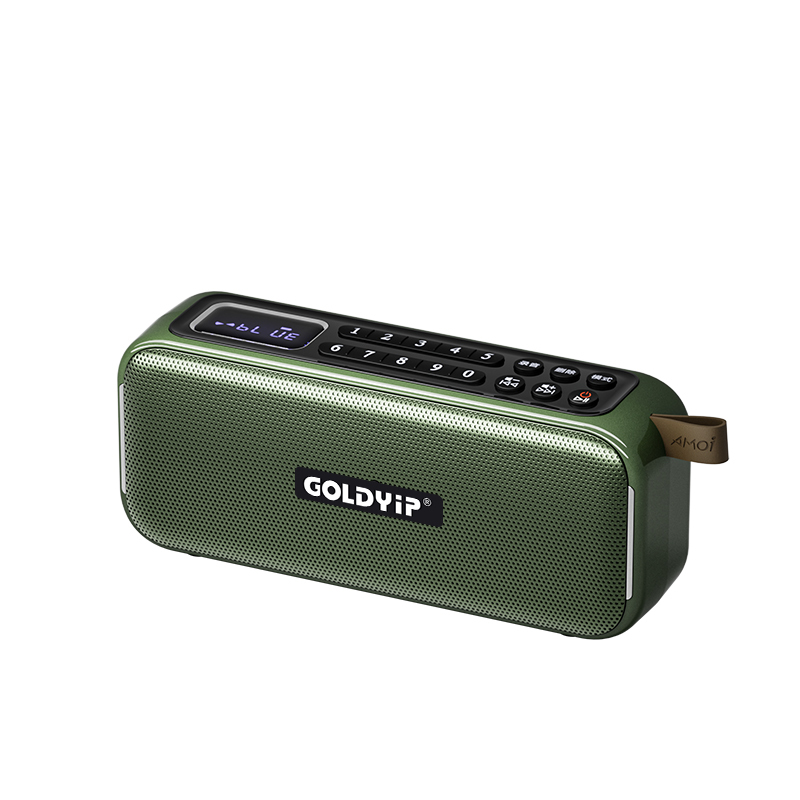 Jinye B21 Bluetooth Speaker Radio Player Outdoor Subwoofer Card-Insertable Square Dance Player with Recording Function