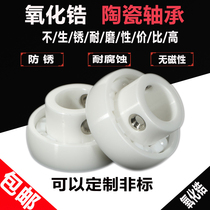 Full ceramic zirconia outer spherical bearing UC204CE inner diameter zirconia corrosion resistant waterproof wear bearing
