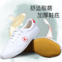 Taiji shoes canvas martial arts shoes men Taijiquan practice shoes soft bottom tai chi shoes women practice cloth shoes