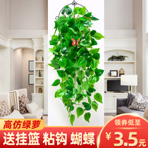 Simulation Green Ole Wall-mounted Decoration Fake Flowers Plant Vines Living-room Hanging Wall Shielded Chandelia Hanging Basket Vine Green Leaf Pituitary Hanger