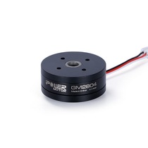 iFlight wing flying iPower GM2804 dog three brushless motor handheld GOPRO motor GOPRO