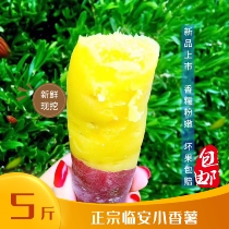Authentic Linan Tianmu small fragrant potato egg yolk heart chestnut taste net weight 5kg