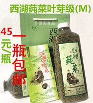 West Lake Ulva Vegetable Agricultural Products Manufacturer Direct Sales Fresh Vegetables Net Vegetable Hangzhou Teryield 1100 gram M Leaf Bud Grade