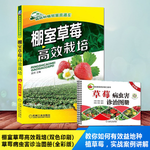 【草莓种植栽培技术大全书籍】棚室高效栽培病虫害诊治图册防治教程种育苗栽培和精细化管理的资料教程病农业图书温室书怎么架无土