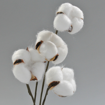 Natural Cotton Ins Swing Pat Nordic Decoration Clothing Lingerie Matching Photography Background Cloth Photo Props Hem Flowers