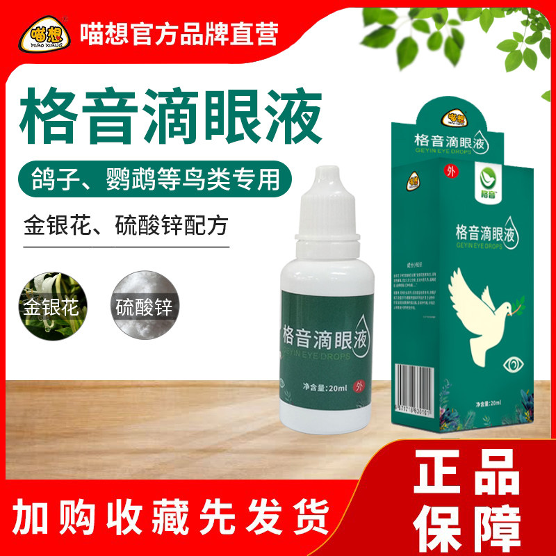 Gotone eye drop pigeon parrot bird is used in a