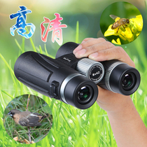 Bee-hunting HD telescope Ultra-clear binocular 8x night vision landscape bird German outdoor bee-hunting horse wasp special