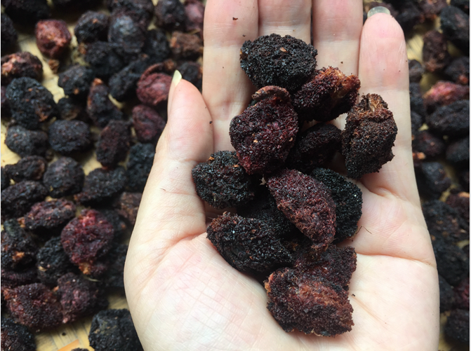  21 years New sunburn The Yangmei dried meat is tasty and less processed without adding ten kilos