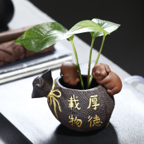 Creative purple sand tea pet ornaments handmade flowers full of pigs ornaments hydroponic flowers home office ornaments