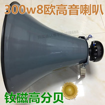 High decibel remote neodymium magnetic 300w outdoor horn super high power tweeter rural school broadcast PA