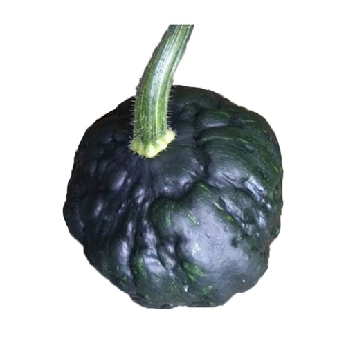 Японские семена тыквы черной кожи, небольшие неровные семена, виды овощей с высоким уровнем