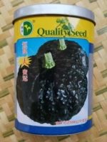 Короткая виноградная лоза Большой медовый семена тыква тыква 50 г ведра