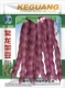 Purple Dragon Shelf Seed Seed 100G оригинал