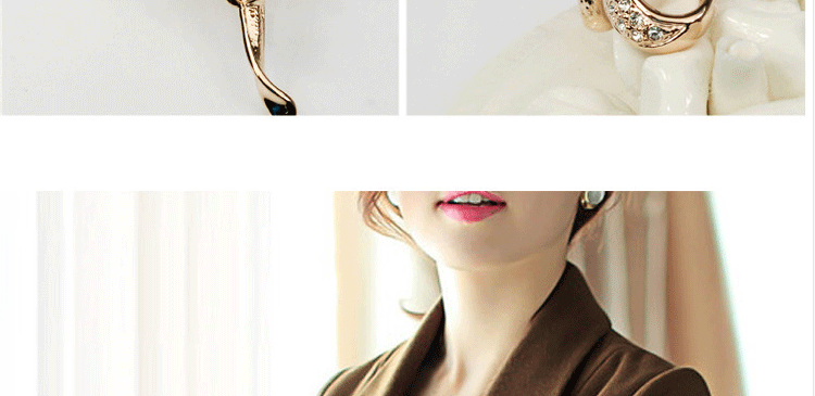 Broche femme en cristal autrichien - Ref 1178504 Image 12