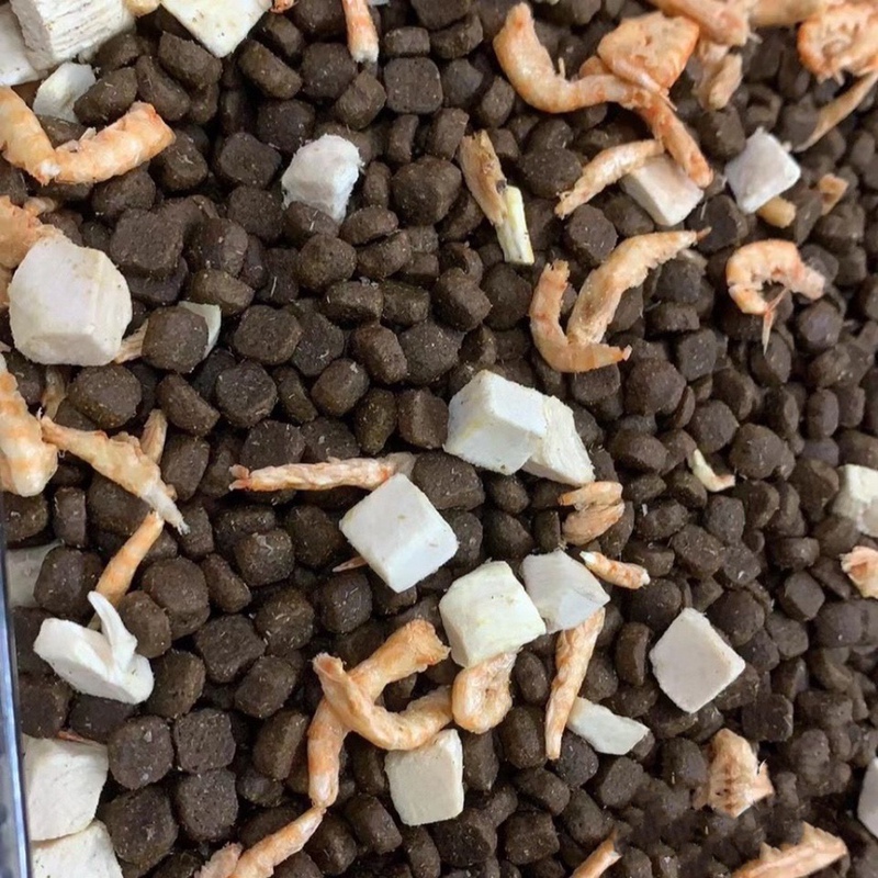Full Price Cat Food Freeze-Dried Raw Bone and Meat High Protein Adult Cats and Kittens Fattening Gills Universal British Short American Short Cloth