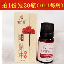 (Gamma Blue Scented Domain) 10ml Essential Oil Plantar Massage Oil Foot Massage Pedicure SMALL BOTTLE ESSENTIAL OIL PROMOTION