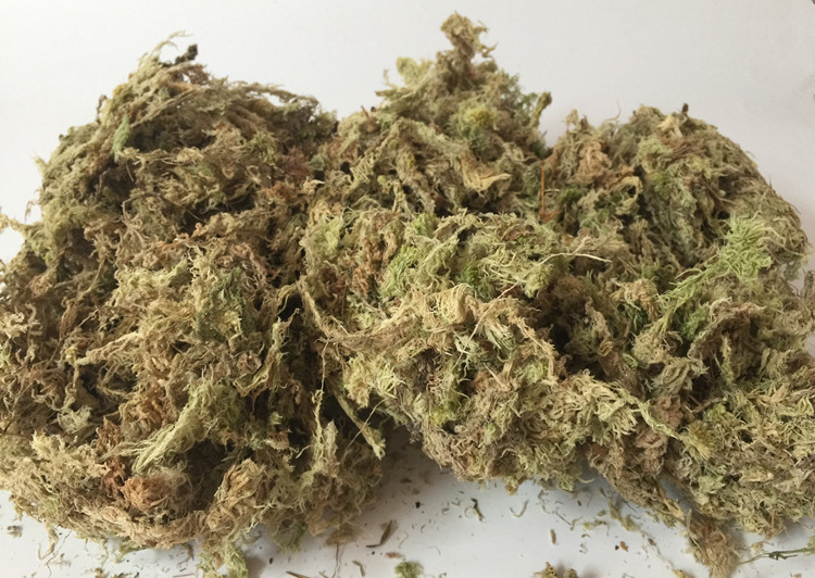 包邮干水苔水草苔藓铁皮石斛兰花土 保湿龟冬眠 微景观垫材