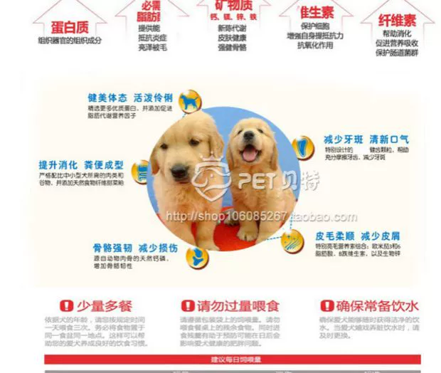 Thức ăn cho chó 20kg40 kg Teddy Golden Retriever Samoyed Labrador Chó lớn chó con chó con chó nhỏ mục đích chung nhỏ - Chó Staples