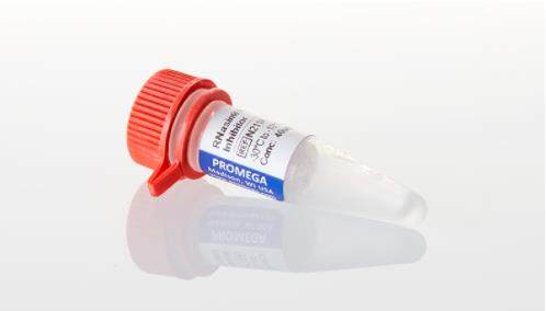 Promega RNasin Inhibitor RNA核酸酶抑制剂  N2611